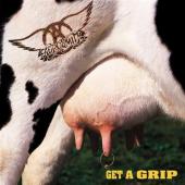 Album cover Get A Grip by Aerosmith Album art Get A Grip