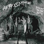 Album cover Night In The Ruts by Aerosmith Album art Night In The Ruts
