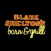 Album cover Blake Shelton's Barn & Grill by Blake Shelton Album art Blake Shelton's Barn & Grill