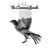 Album art Common Linnets