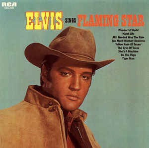 Elvis Sings Flaming Star