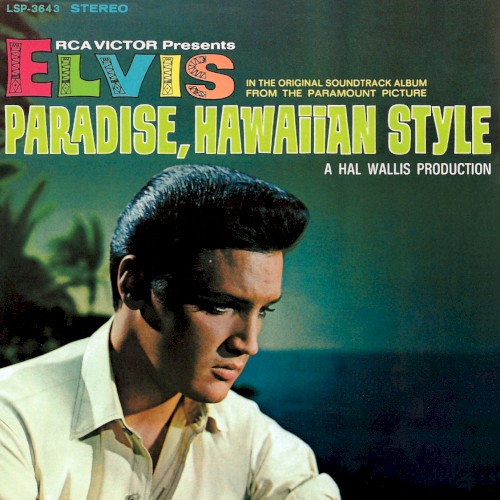 Paradise Hawaiian Style