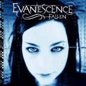 Album art Fallen by Evanescence