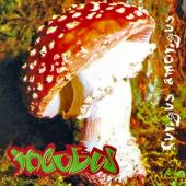 Album cover Fungus Amongus by Incubus Album art Fungus Amongus