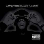 Album cover The Black Album by Jay-Z Album art The Black Album
