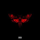 Album art I Am Not a Human Being Vol. 2 by Lil Wayne