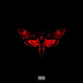 Album art I Am Not a Human Being Vol. 2 by Lil Wayne