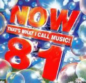 Album art Now That's What I Call Music! 81 [UK] by Sean Paul