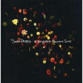 Album cover A Hundred Million Suns by Snow Patrol Album art A Hundred Million Suns
