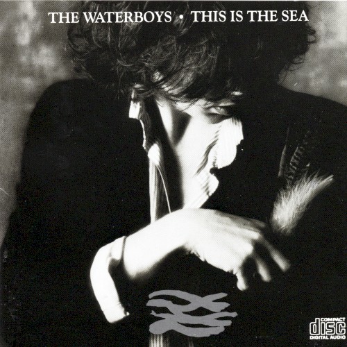 This Is The Sea