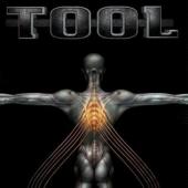 Album art Salival by Tool