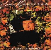 Album art A Sense Of Wonder by Van Morrison