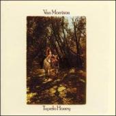 Album art Tupelo Honey by Van Morrison