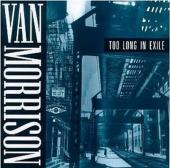 Album art Too Long In Exile by Van Morrison