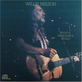 Album art What a Wonderful World by Willie Nelson